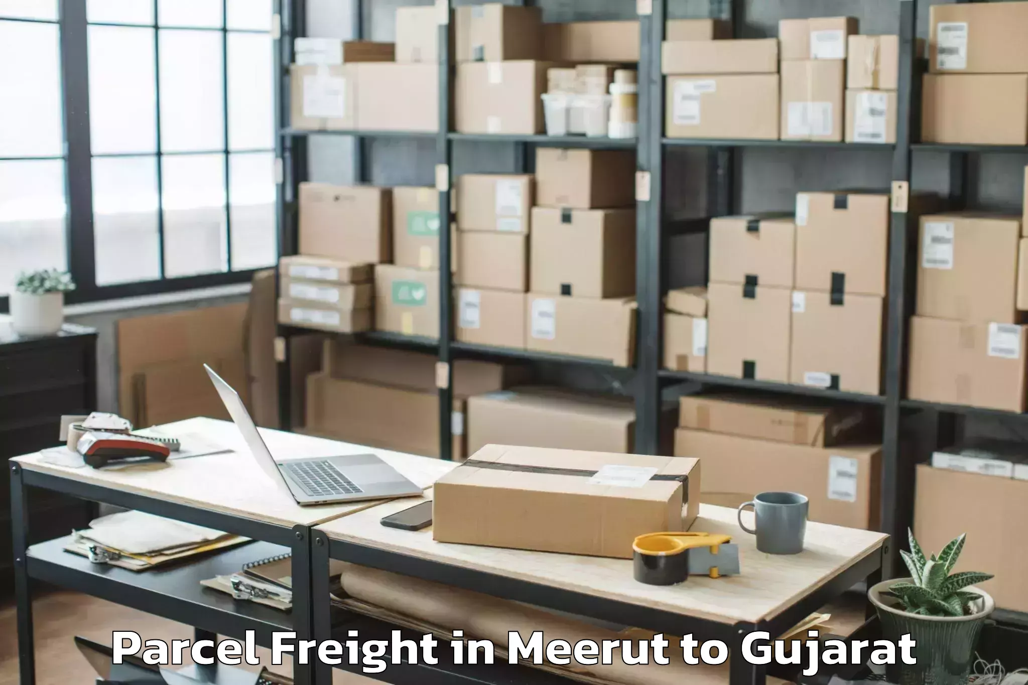 Leading Meerut to Gls University Ahmedabad Parcel Freight Provider